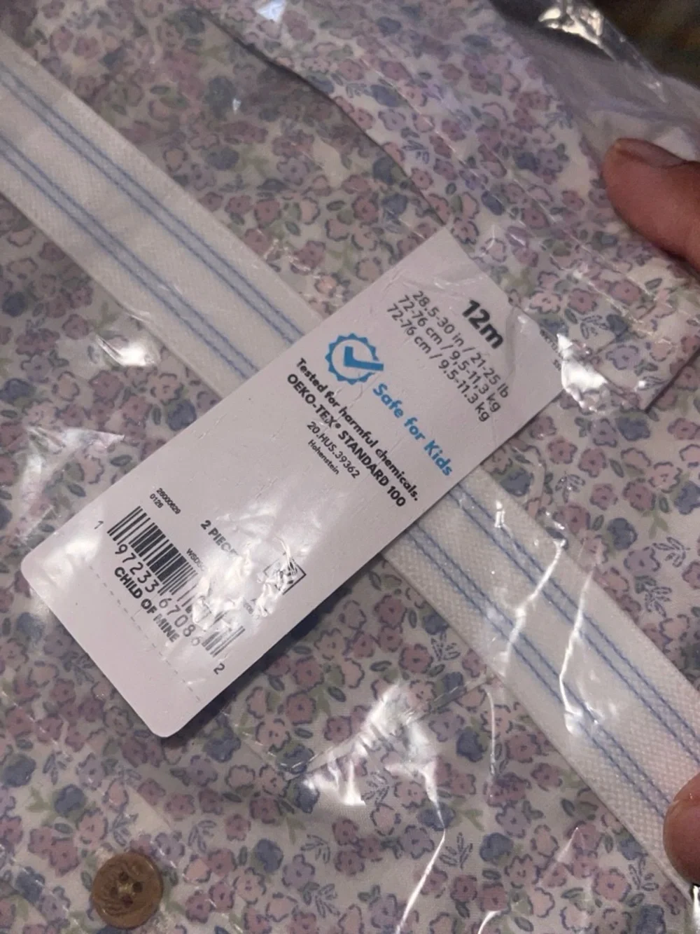 Carter's Blue Shorts with Floral Button-Up Shirt and Striped Suspenders